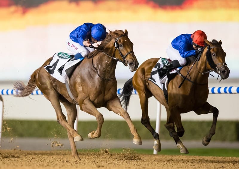 Divine Image og William Buick vinder UAE Oaks (Gr.3) foran Hayley Turner på Swift Rose. Foto: Dubai Racing Club.