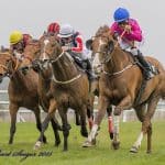 Bank Of Burden - tidligere vinder af Danish Jockey Club Cup (L). Foto: Burt Seeger.