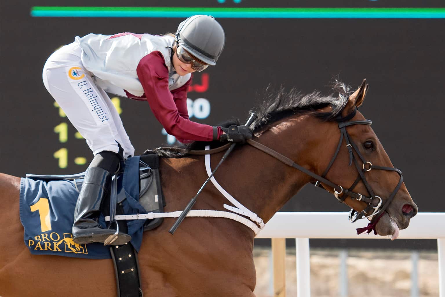 Bouree vinder for Ulrika Holmquist. Foto: Elina Björklund / Svensk Galopp.