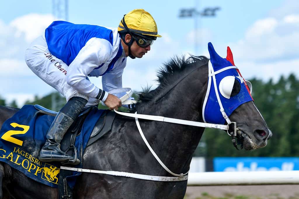 Es Raco/Elione Chaves. Foto: Stefan Olsson / Svensk Galopp Foto: Stefan Olsson / Svensk Galopp.