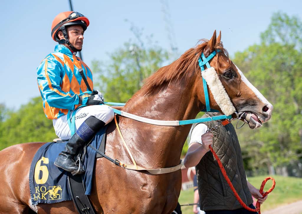 Yrroll og Carlos Lopez. Foto: Elina Björklund / Svensk Galopp.