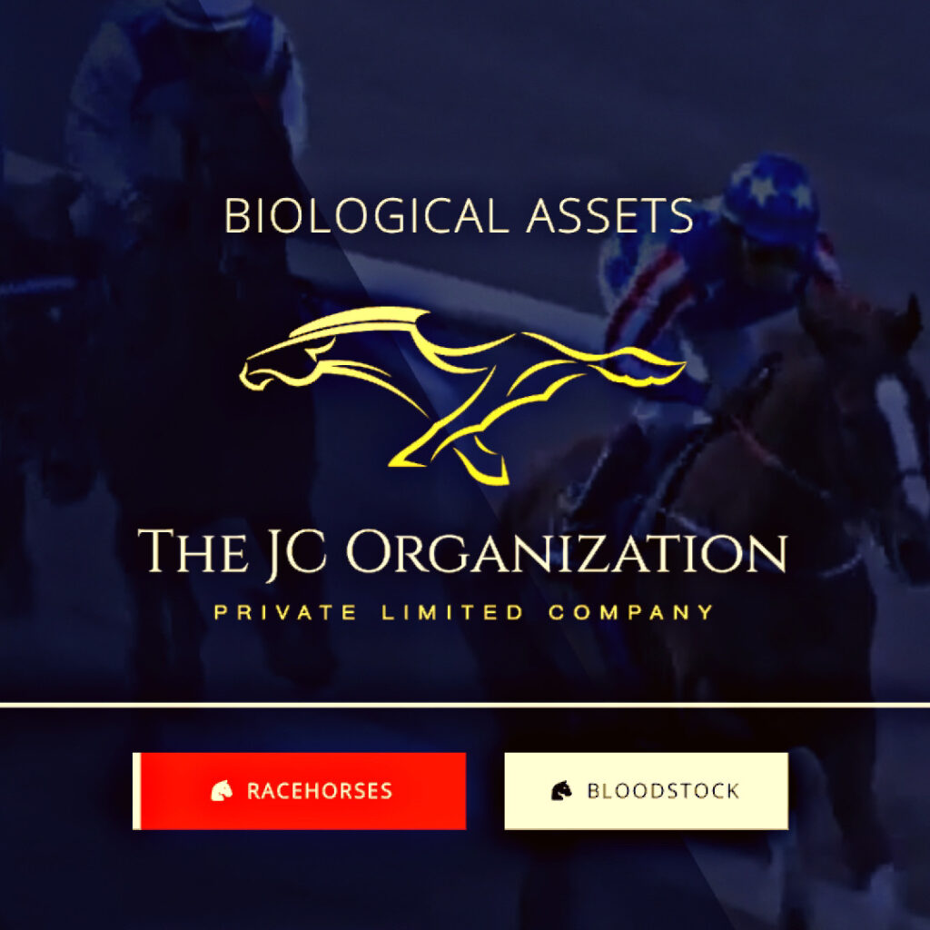 The JC Organization 2022