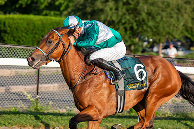 Norsk 2000 Guineas 2023