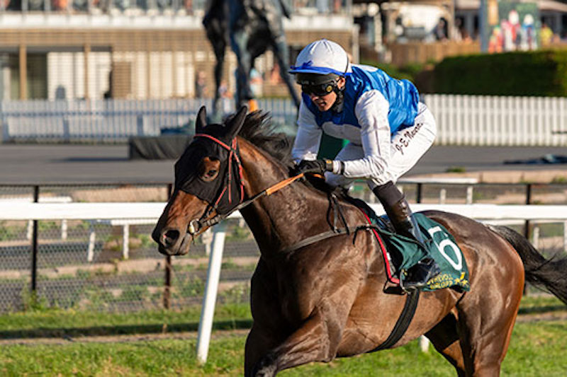 Norsk 1000 Guineas 2023