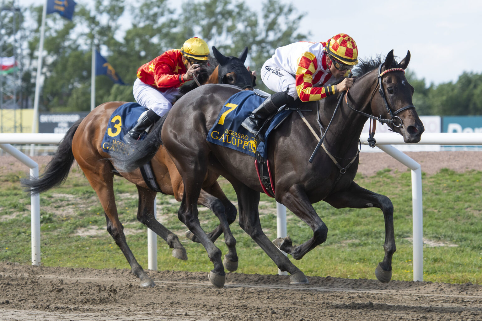 496 anmeldelser til Sveriges Derby og Oaksserie 2025 GalopSport