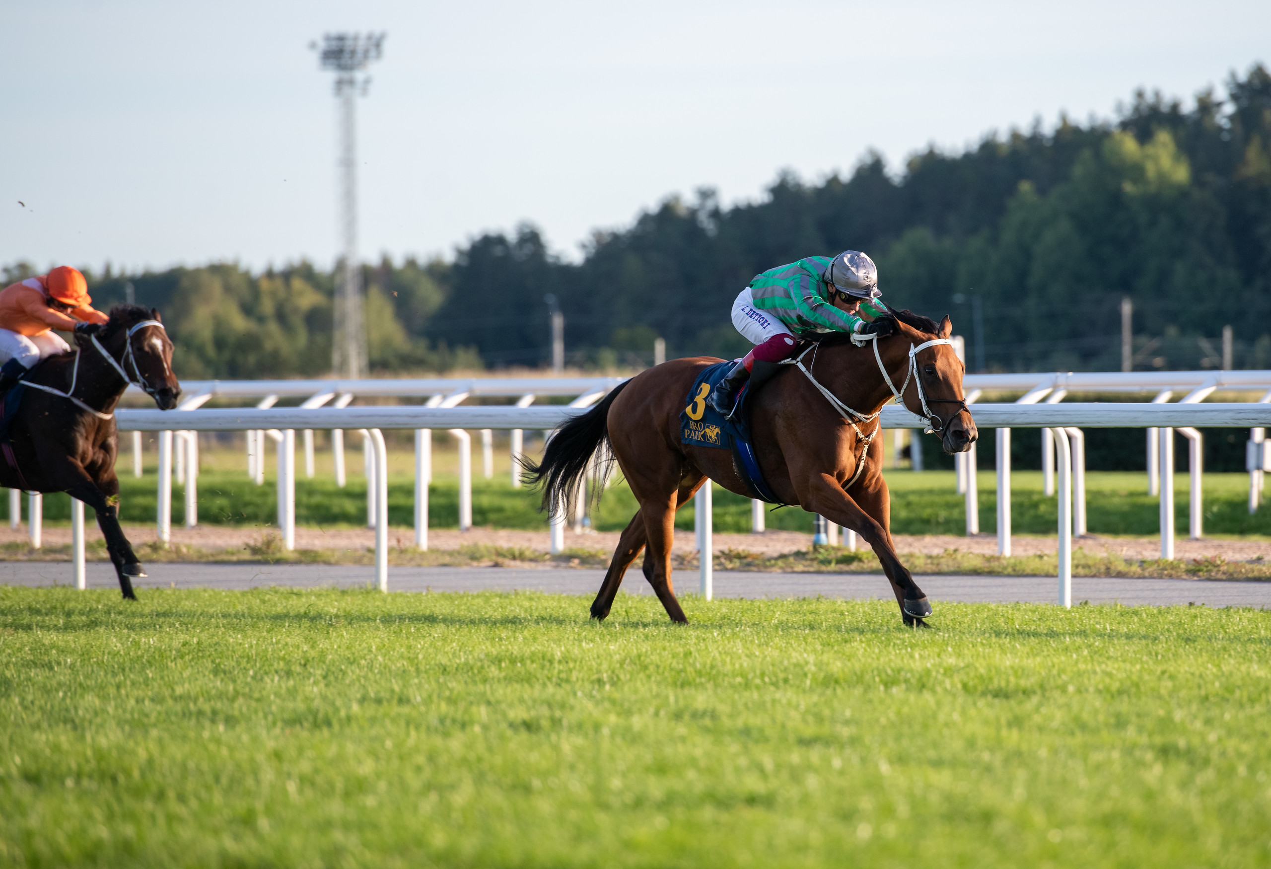 Lanwades Stud Stakes (L) 2023