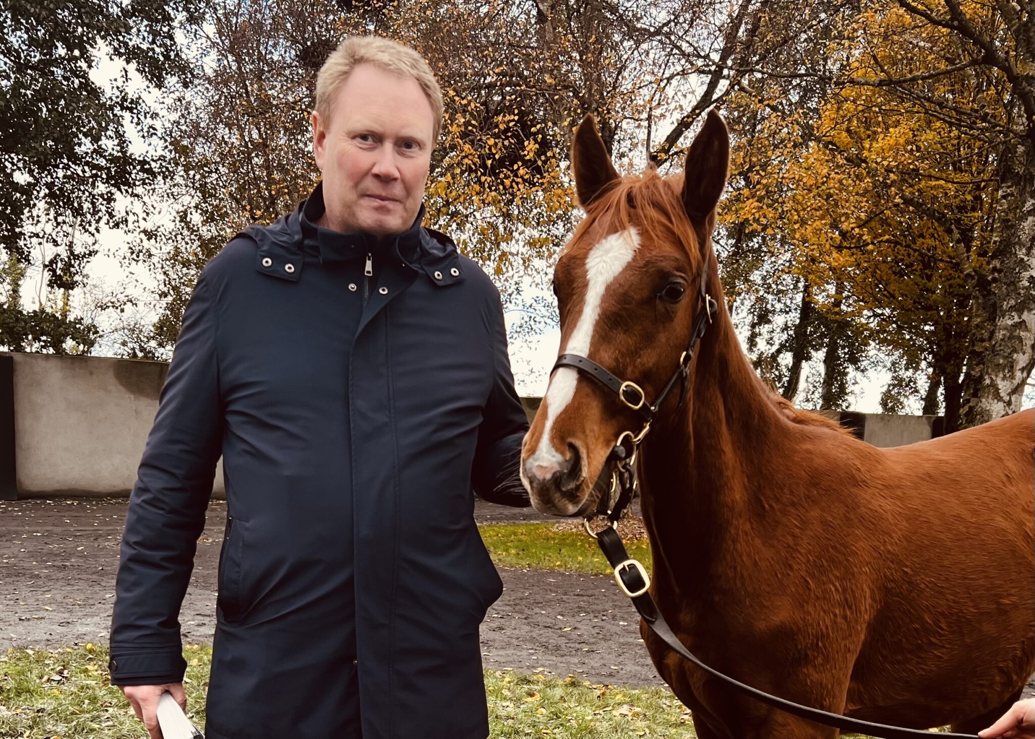 Goffs November Sale Peas And Carrots’ opdrætter bag ugens første