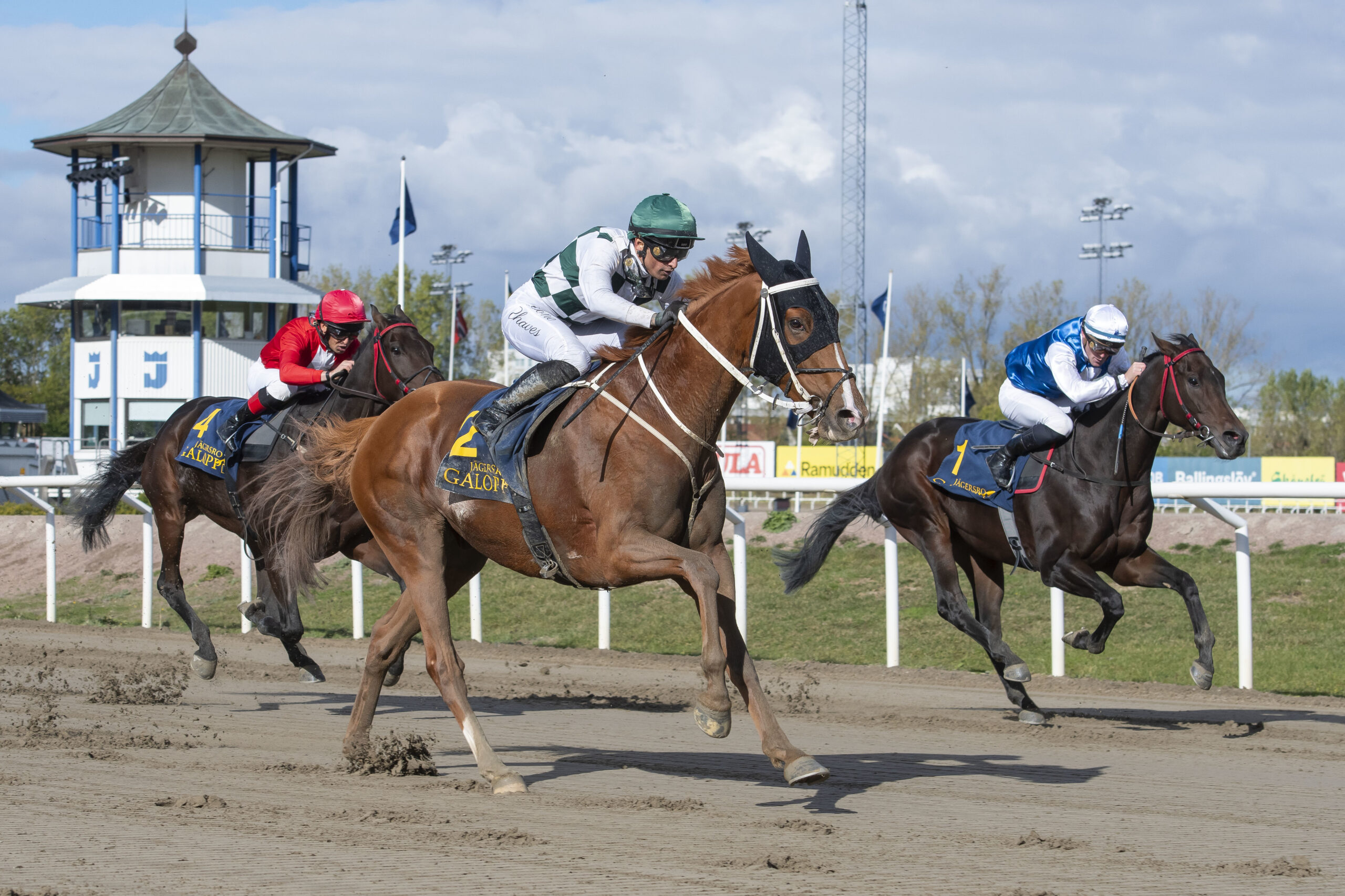 SFK Jubileumslöpning (L)