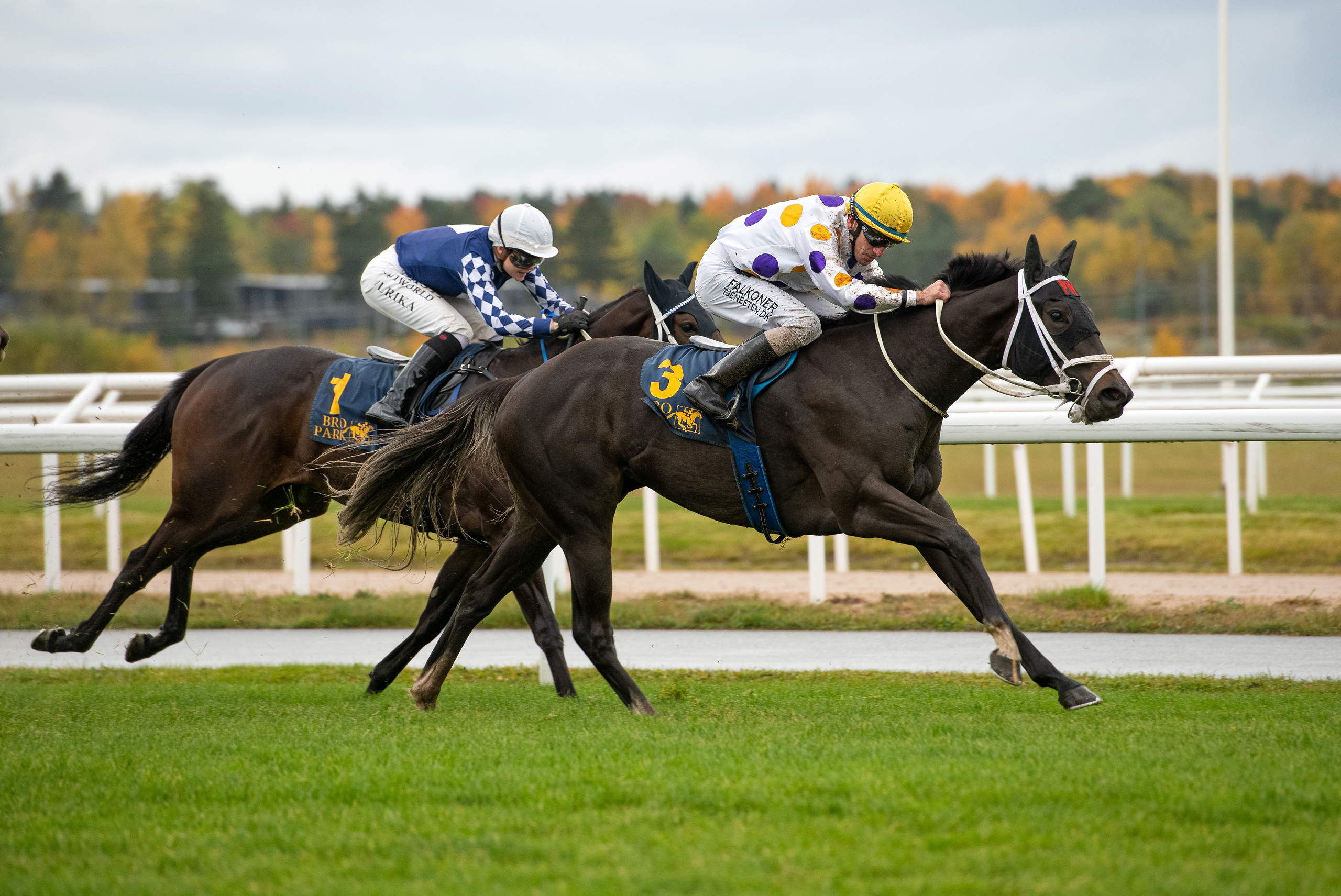 Jockeyklubbens Auktionslöpning