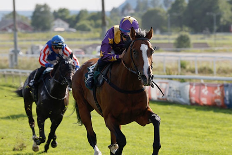 Norsk 2000 Guineas