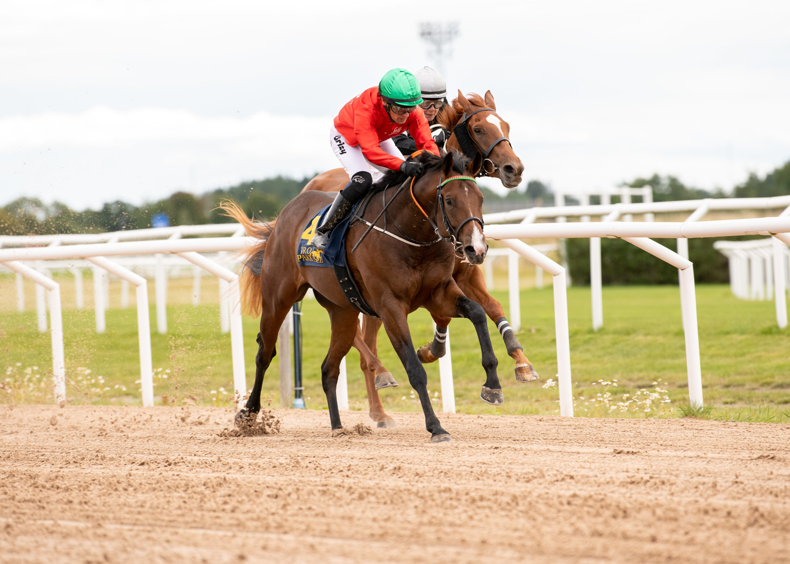 King Cooper nedkæmper Red Tatoo. Foto: Elina Björklund / Svensk Galopp.