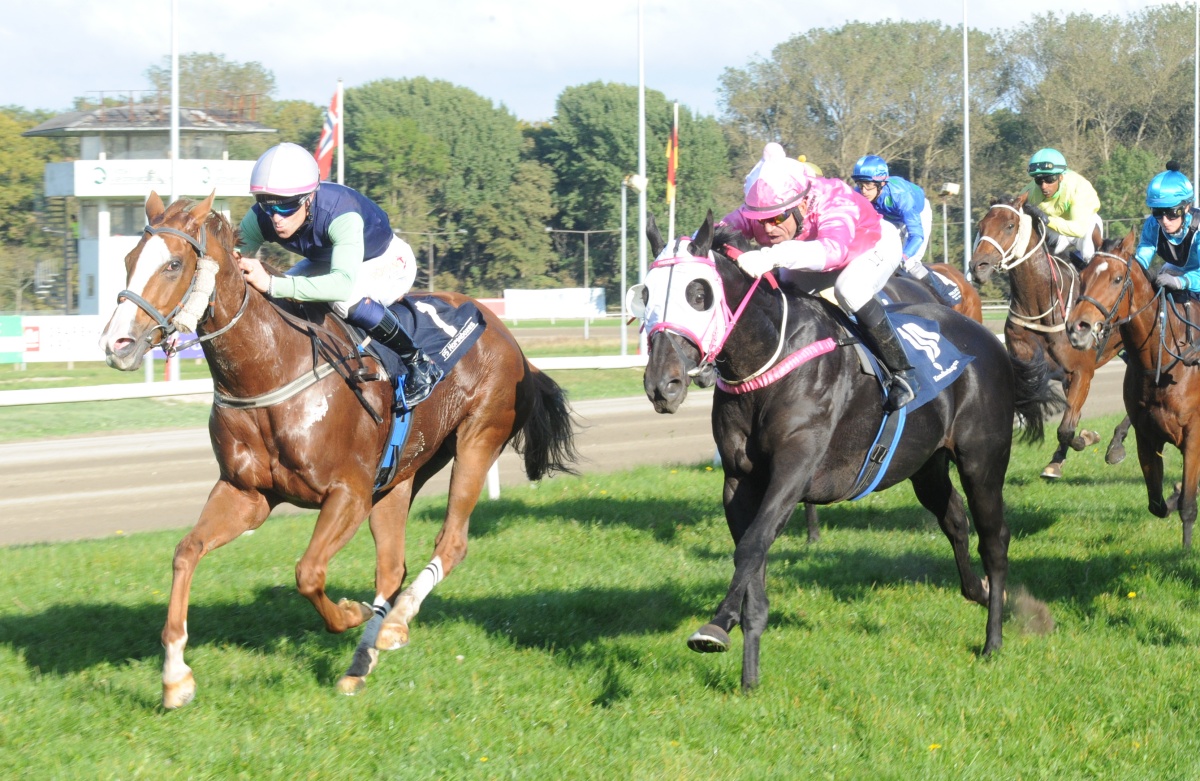Johnny Reimer-trænede Lady Lee og Nicolaj Stott vinder Handicap Klasse 4 foran Freddie's Fortune. Foto: Ole Hindby.
