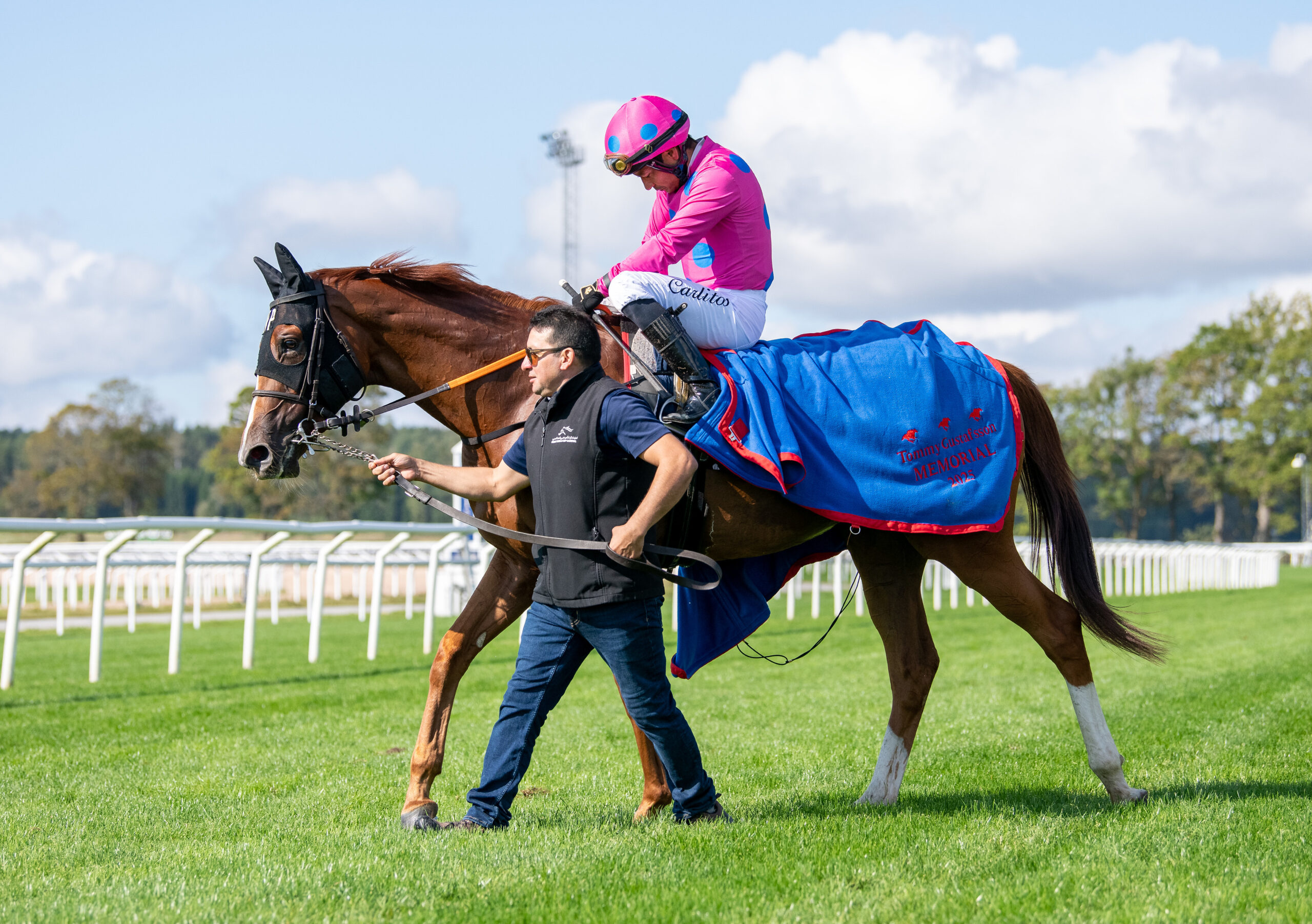 Bruce Almighty, Carlos Lopez og Carlos Toro efter sejren i Breeders' Trophy Juvenile. Foto: Elina Björklund / Svensk Galopp.