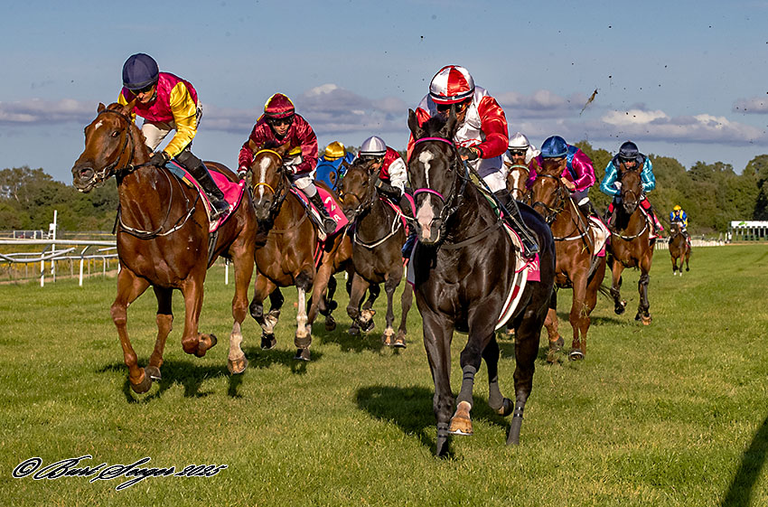 Dansk Oaks