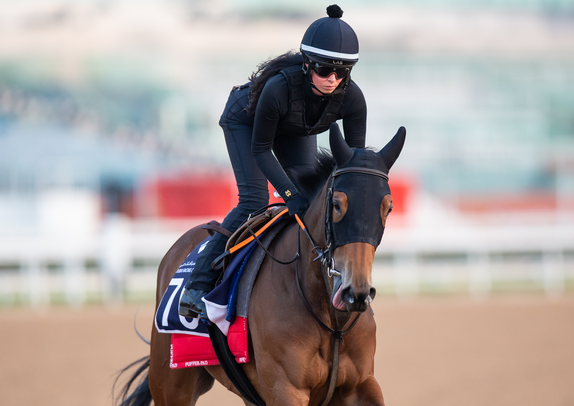 Søren Jensens 2-årige Taifuu. Foto/Copyright: Erika Rasmussen for GalopSport.