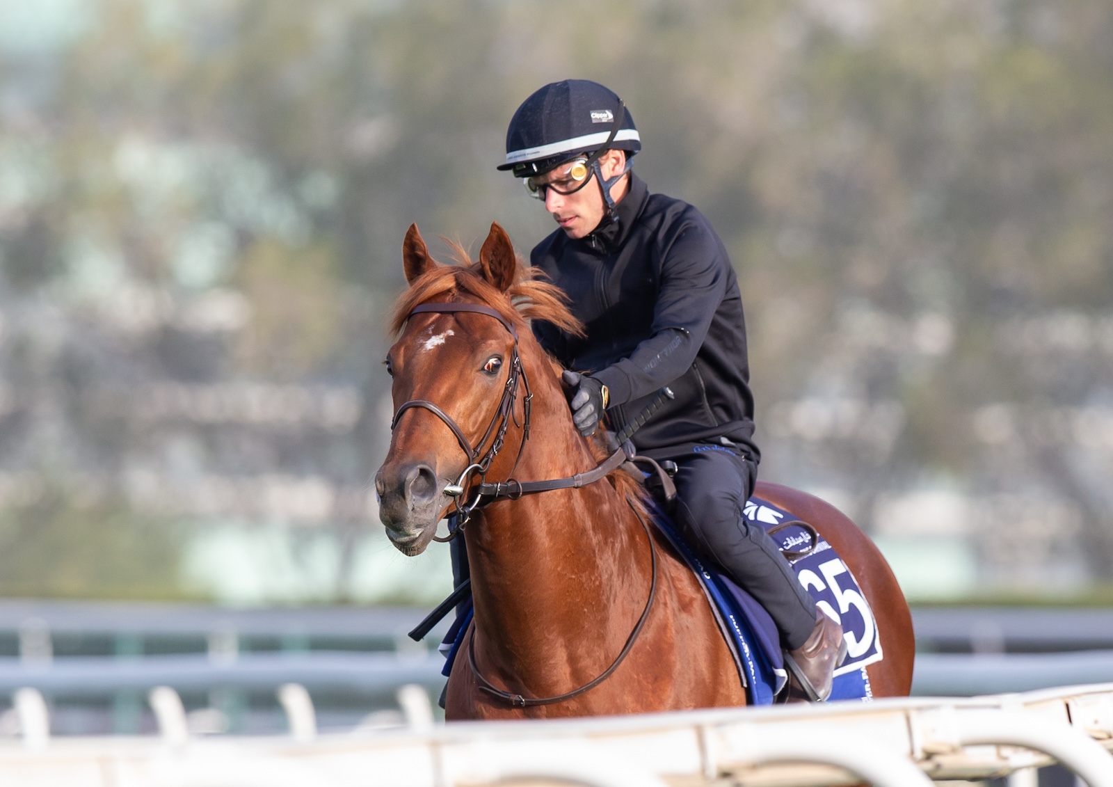 Great Wish og Kieran Shoemark på Meydan fredag morgen. Foto/Copyright: Erika Rasmussen for GalopSport.