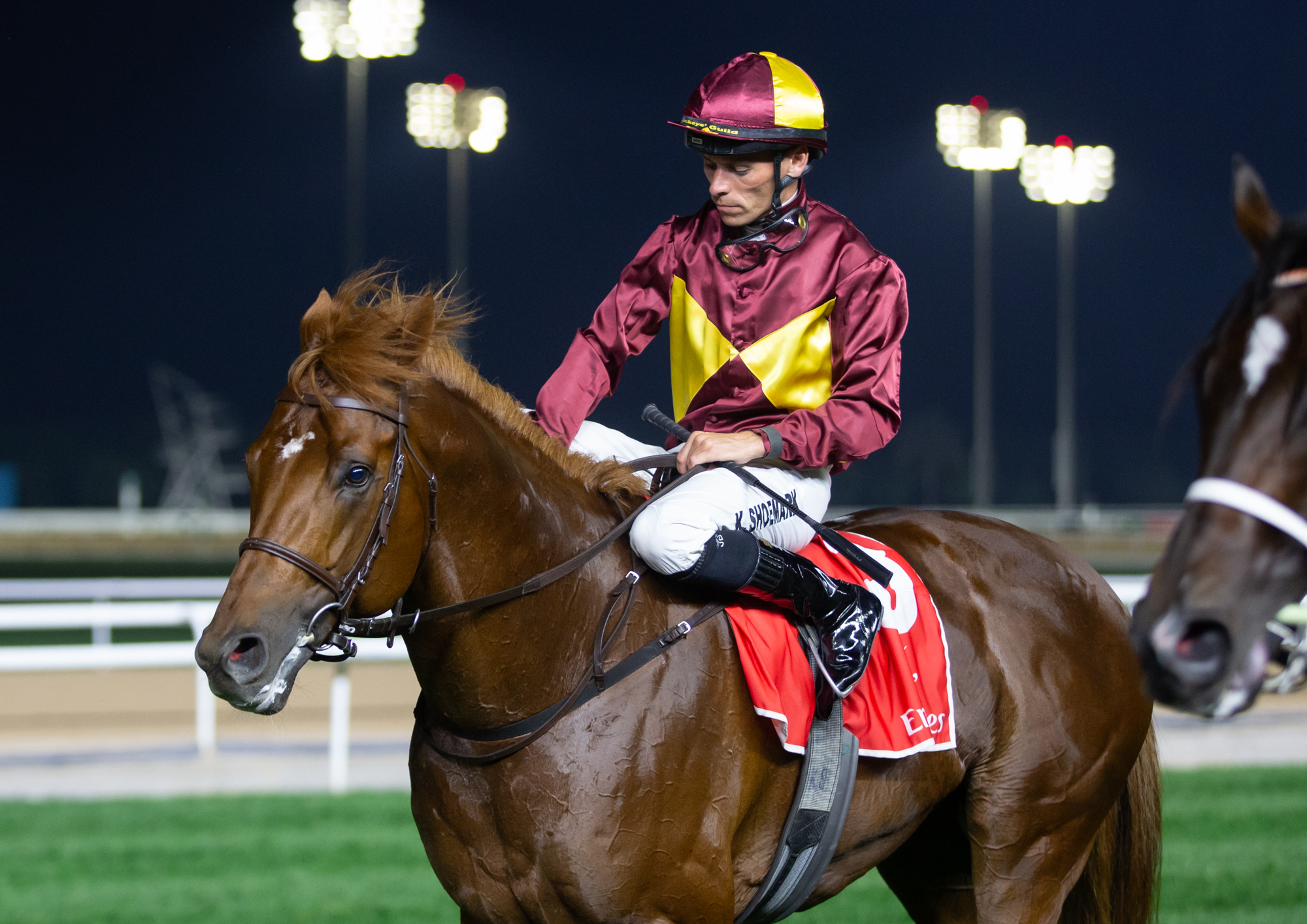 Great Wish og Kieran Shoemark. Foto/Copyright: Erika Rasmussen for GalopSport.