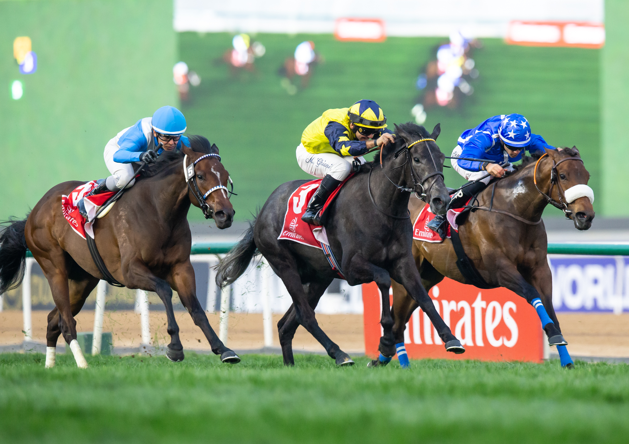 Sweet Sunshine og Francisco Goncalves slutter tredje i Jumeirah 1000 Guineas (L) på Meydan bag Piana og True Test. Foto/Copyright: Erika Rasmussen for GalopSport.