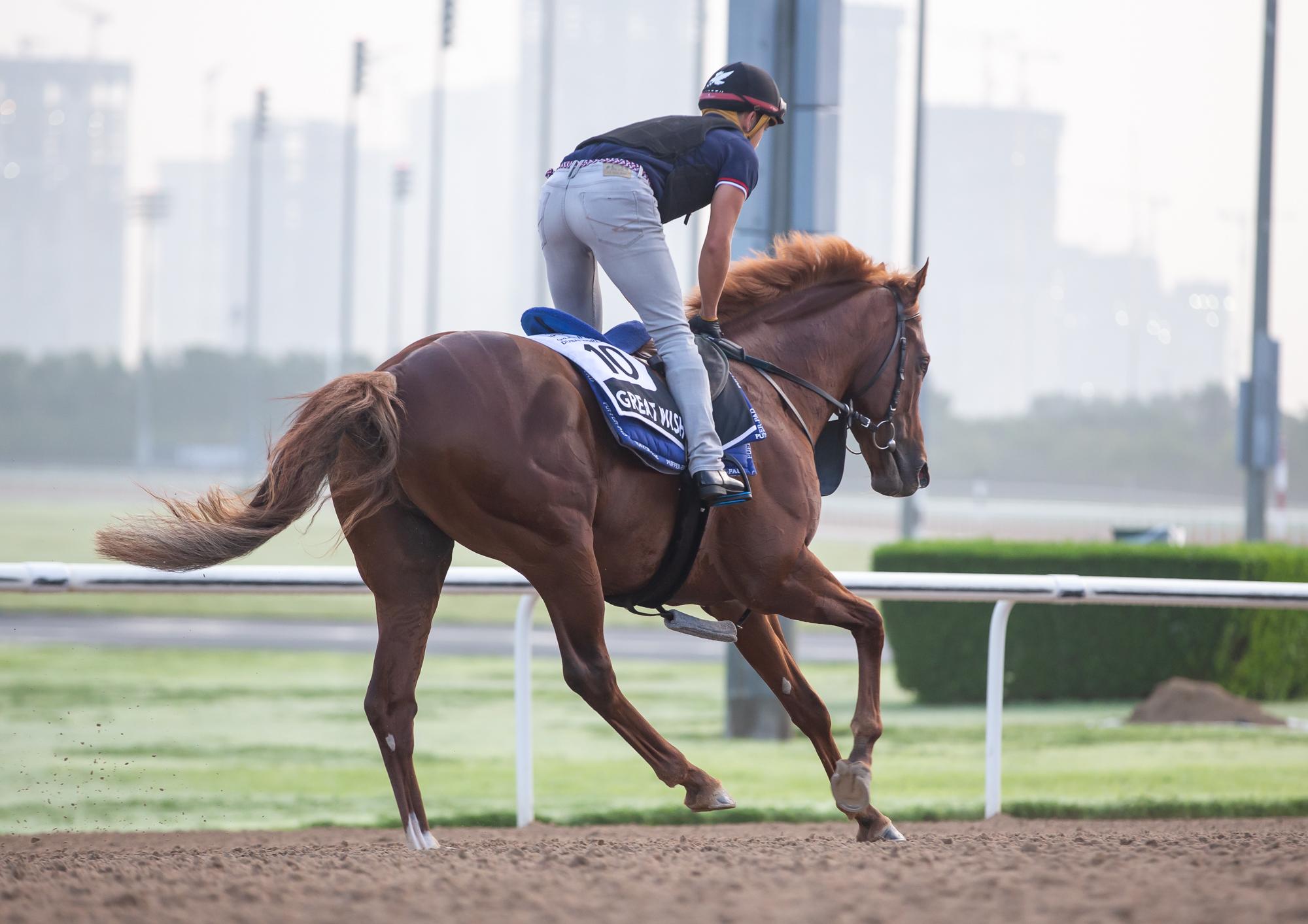 Great Wish med sin Dubai-arbejdsmakker Andreas Tapia Dalbark i sadlen tirsdag morgen. På lørdag rides Great Wish for første gang af Silvestre de Sousa. Foto/Copyright: Erika Rasmussen for GalopSport.