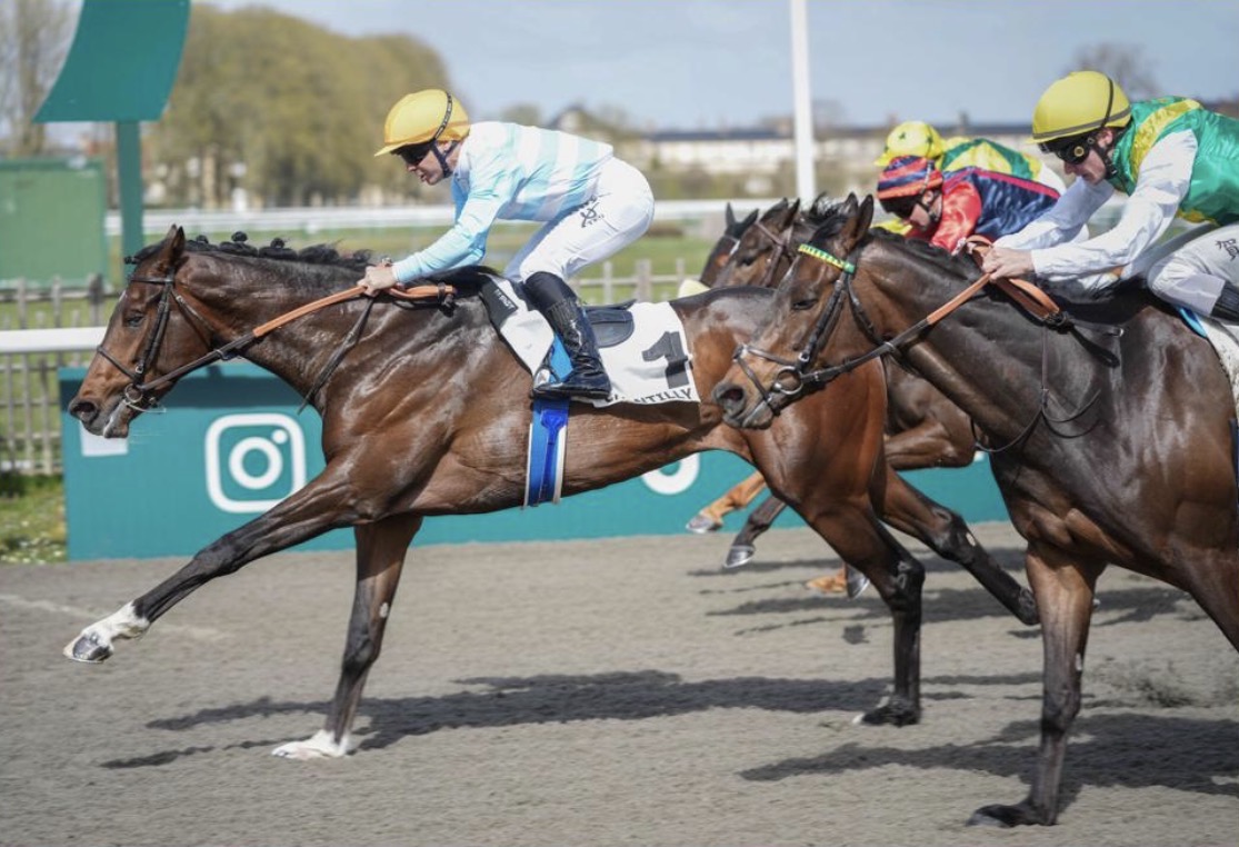 Finn Blichfeldts egenopdrættede Tonnant vinder Prix du Palio de Chantilly. Foto: Scoopdyga.