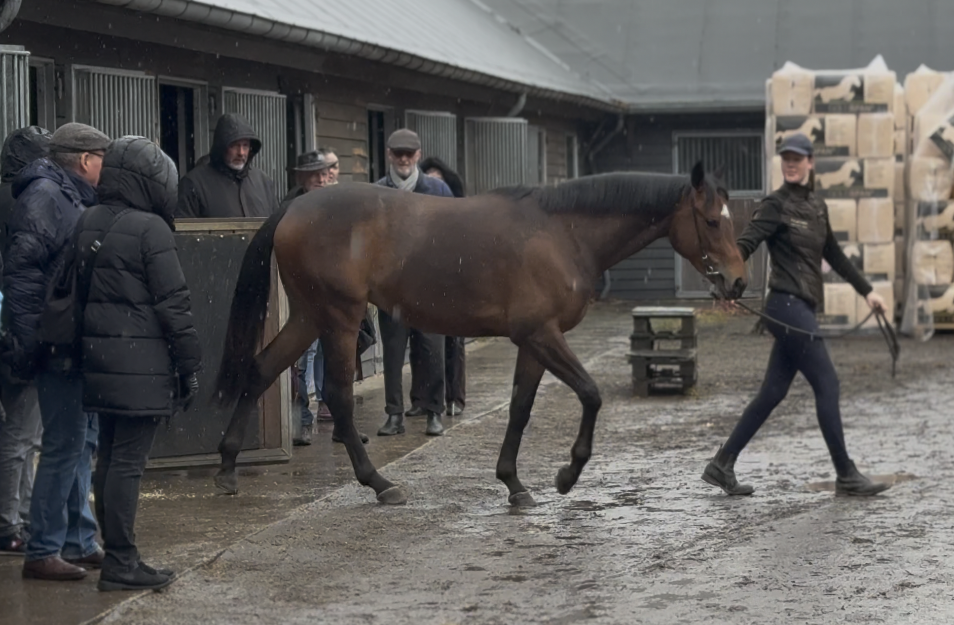 Skærmbillede 2026-03-30 kl. 16.42.28