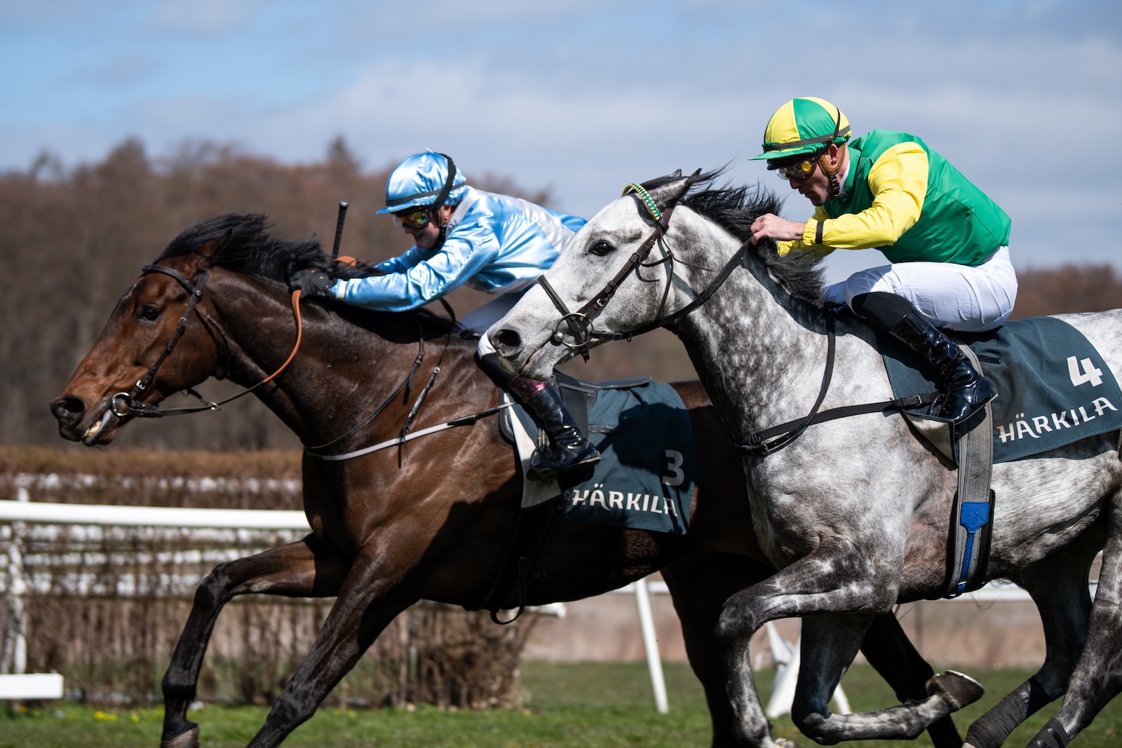 Finn's Charm og Rebecca  Stålhandske vinder Tuborg Åbningsløb foran Silver Legend med Oliver Wilson. Foto: Johanna Friberg.