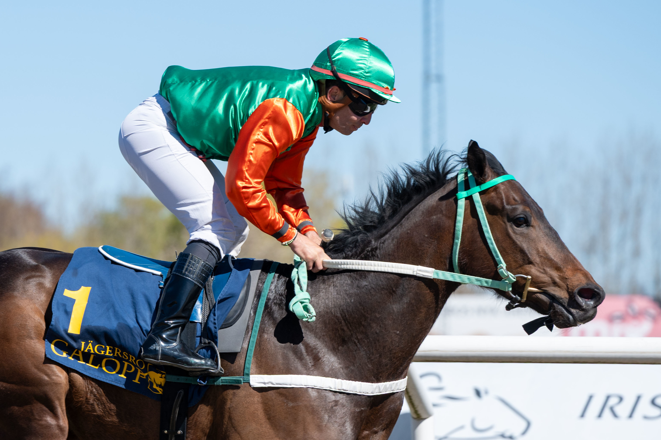 Papa Joe og Maikel Narvaez Bravo. Foto: Stefan Olsson / Svensk Galopp.