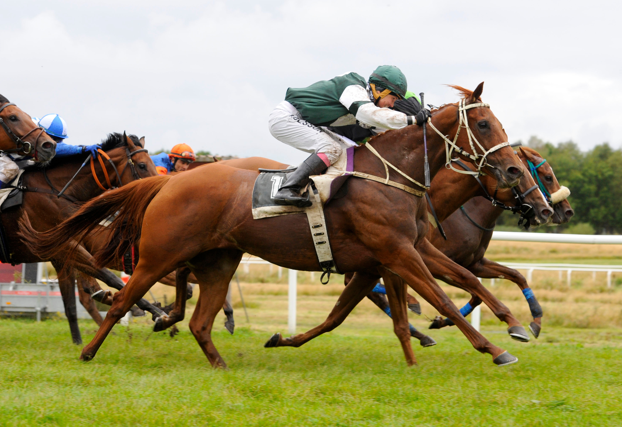 Bloomeretta vinder i Göteborg med Fanny Olsson i sadlen. Foto: Stefan Olsson / Svensk Galopp.