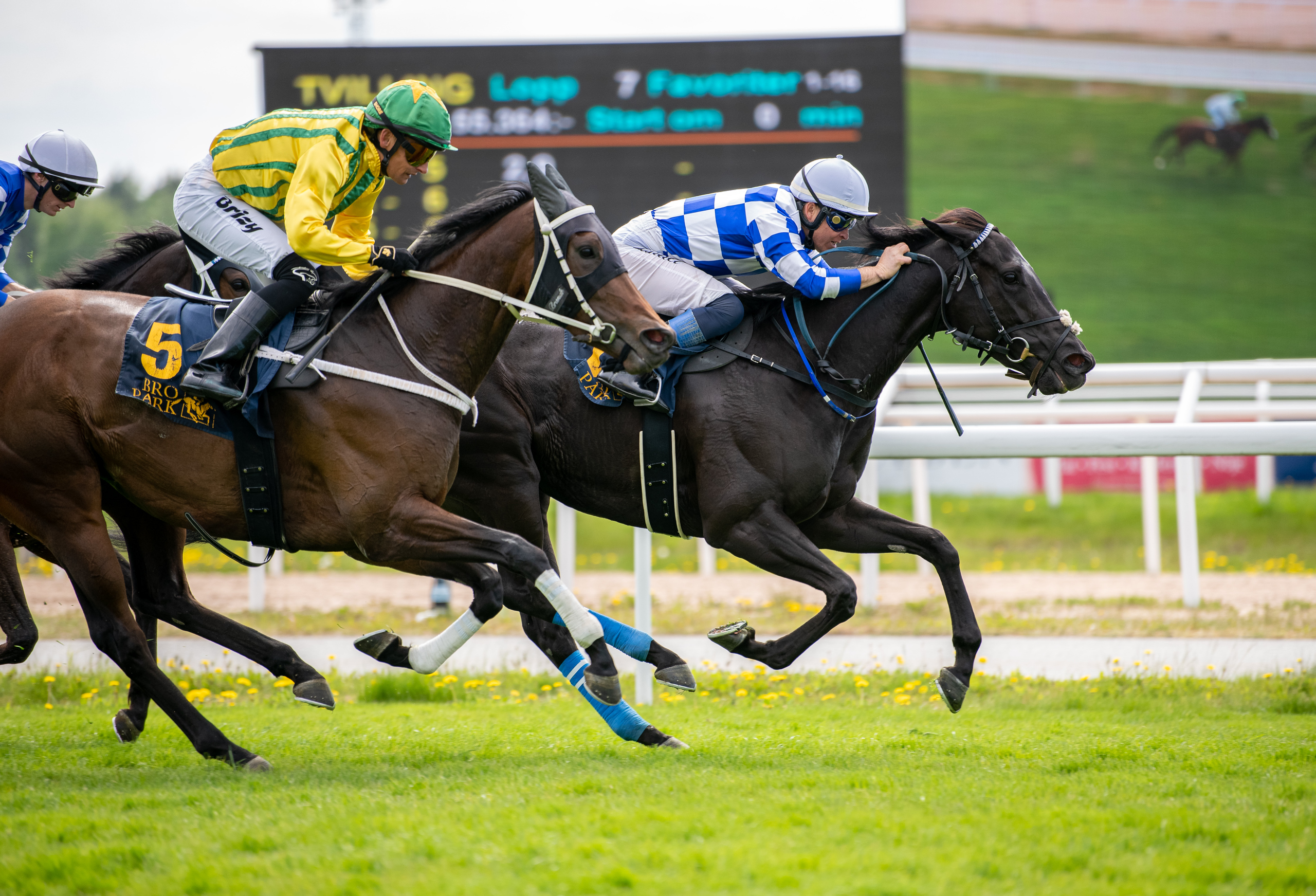 Capitana Bling og Manuel Martinez vinder Jockeyklubbens Stolöpning foran Bay Princess med Per-Anders Gråberg. Foto: Elina Westrin / Svensk Galopp.