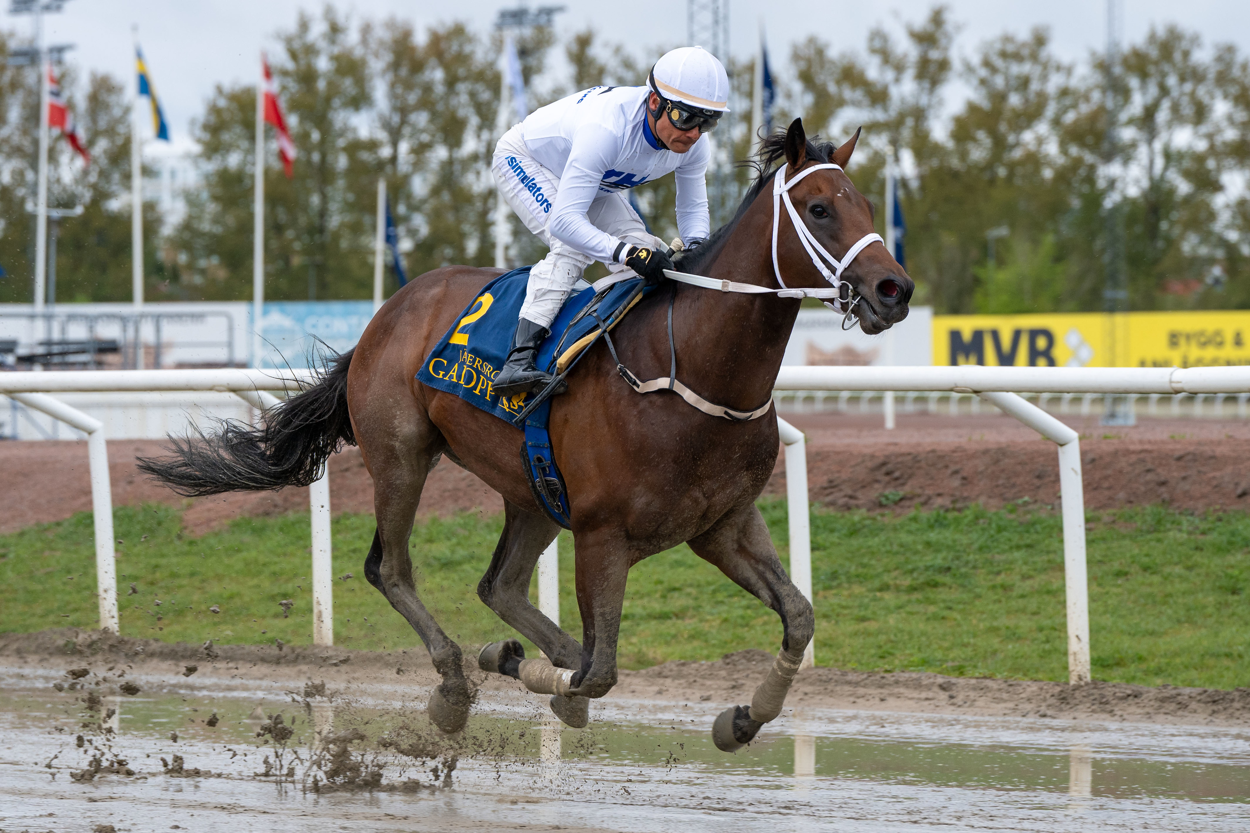 Twilight Hero vinder let i hænderne på Carlos Lopez. Foto: Stefan Olsson / Svensk Galopp.