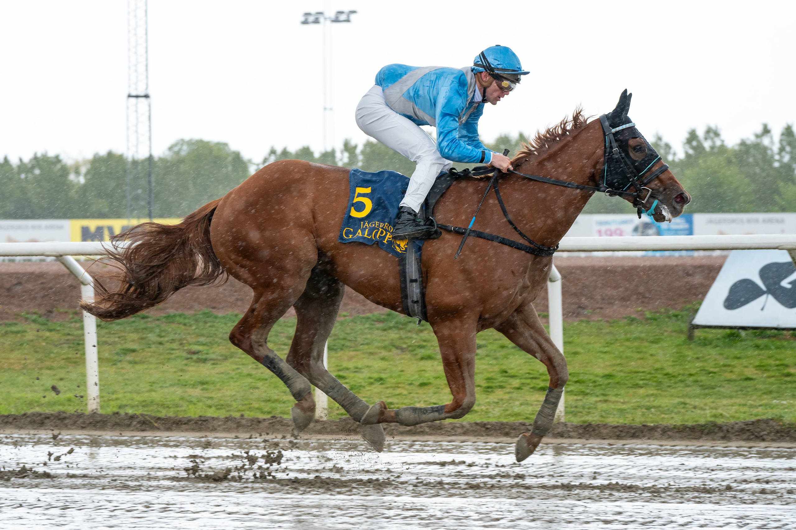 Fight For Rome og Oliver Wilson. Foto: Stefan Olsson / Svensk Galopp.