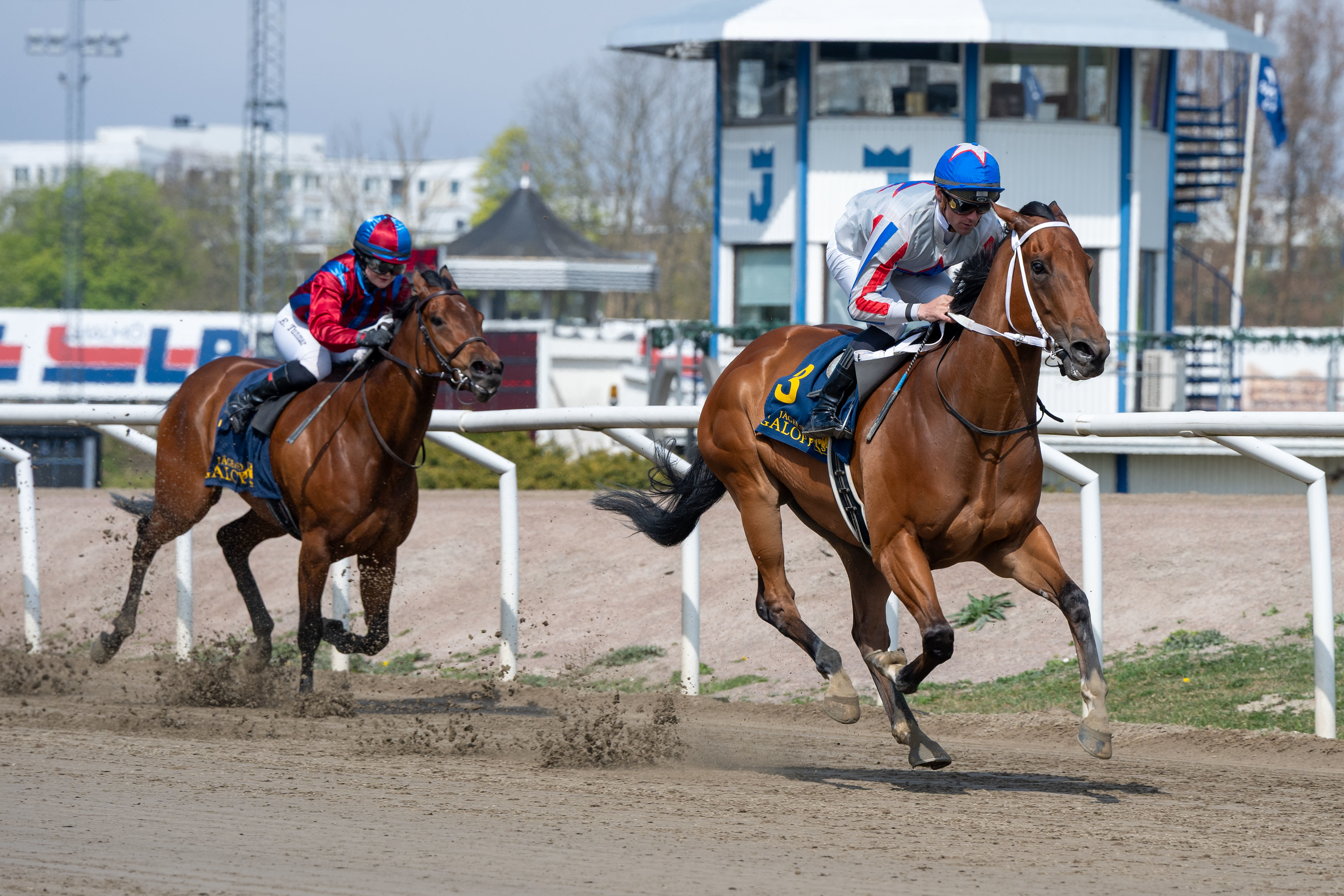 Lamborghini BF og Oliver Wilson vinder Skånska Trängregementets Minneslöpning foran Abby. Foto: Stefan Olsson / Svensk Galopp.