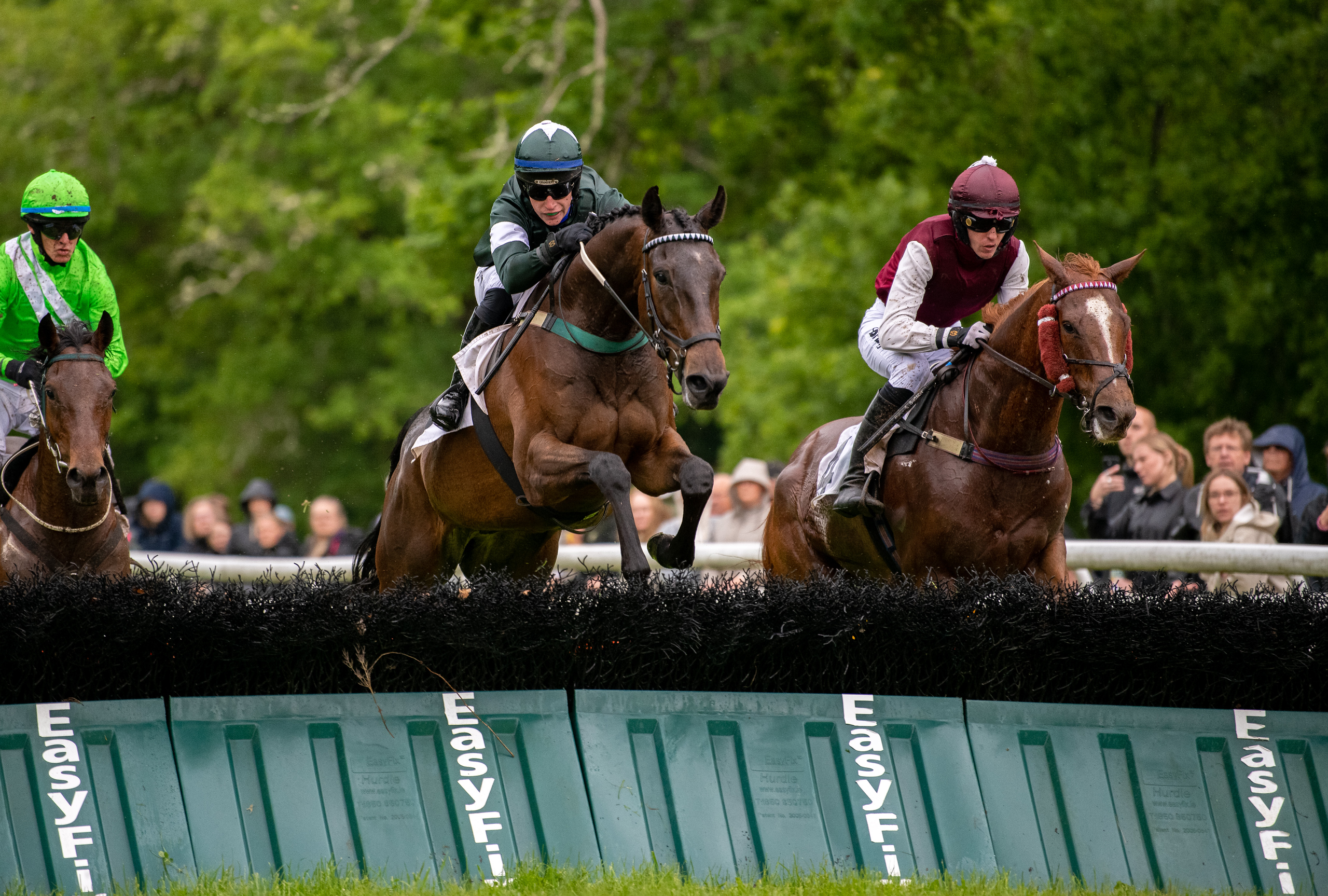 New York Strip og James Joseph Slevin springer over den sidste forhindring i Svenskt Champion Hurdle. Foto: Elina Westrin / Svensk Galopp.