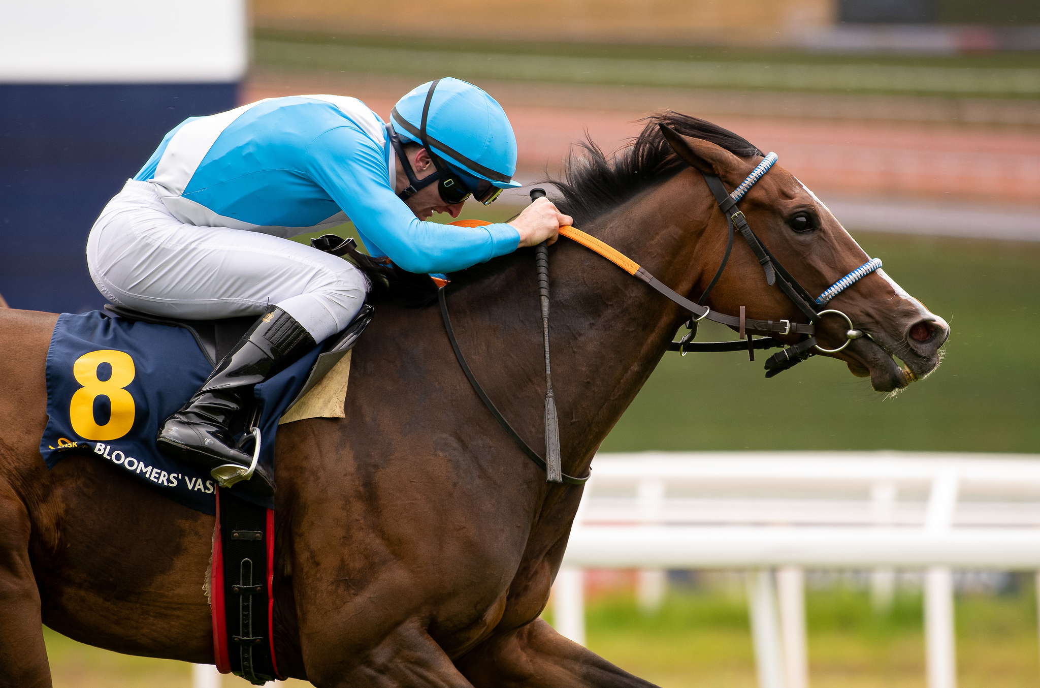 Sunday Fudge og Jules Mobian vinder Bloomers' Vase (L). Foto: Elina Westrin / Svensk Galopp.