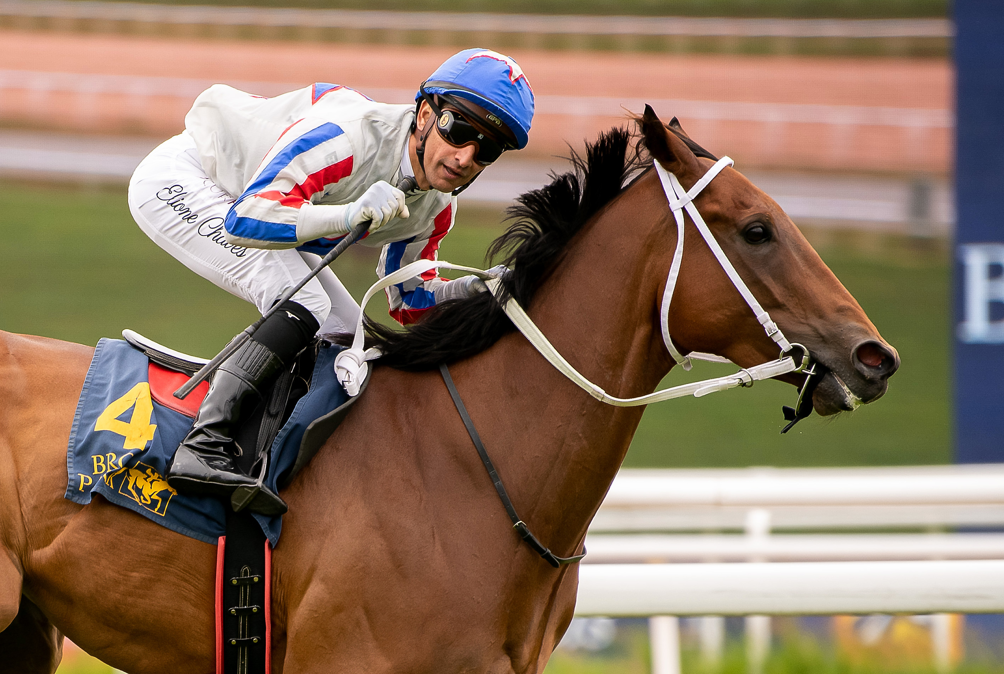 Lamborghini BF og Elione Chaves vinder Bro Park Vårsprint (L). Foto: Elina Westrin / Svensk Galopp.