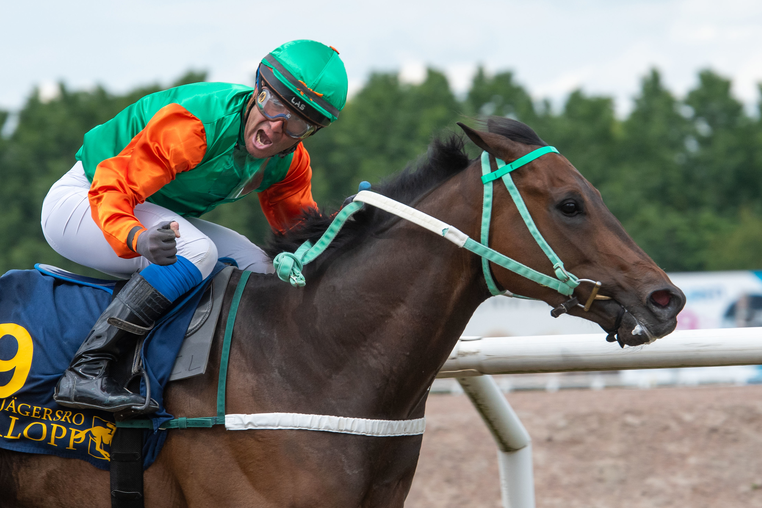 Maikel Narvaez Bravo jubler i bøjlerne på Voter-vinderen Papa Joe. Foto: Stefan Olsson / Svensk Galopp.