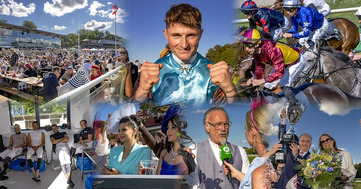 derbydagen_burt_seeger_collage