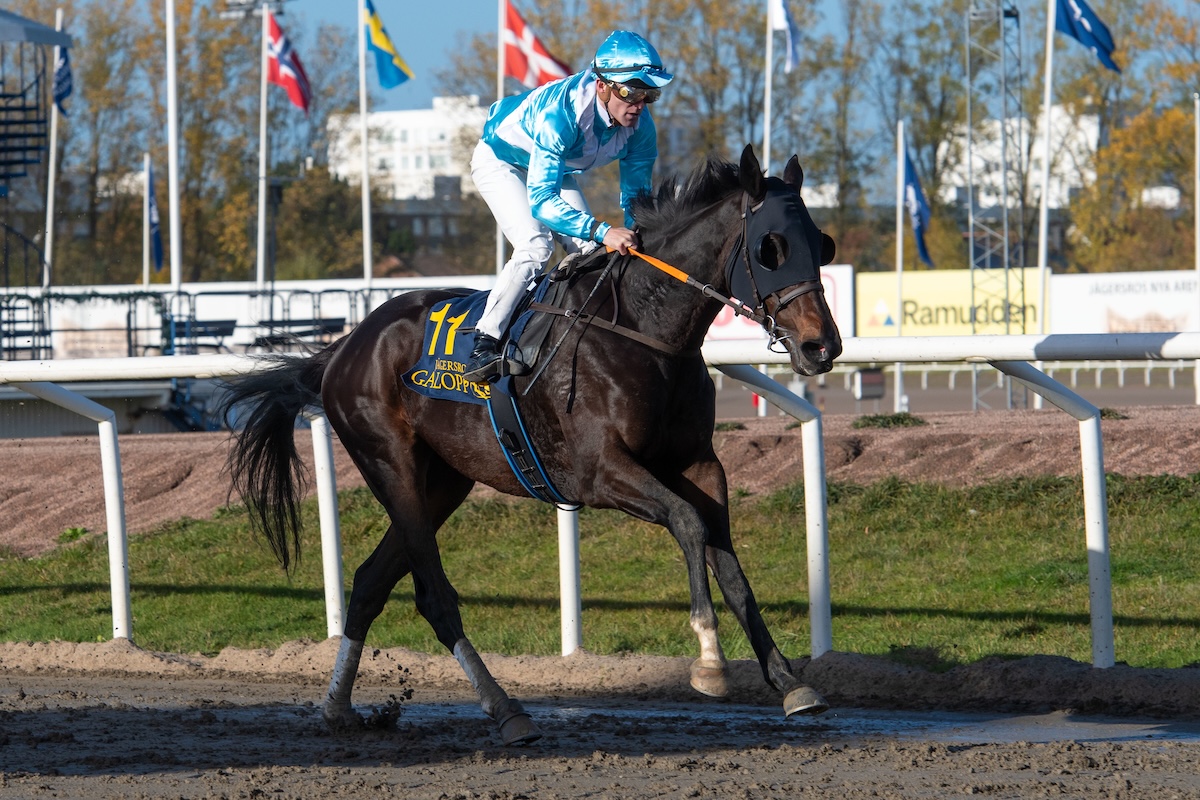 Play The Jack og Oliver Wilson på Jägersro