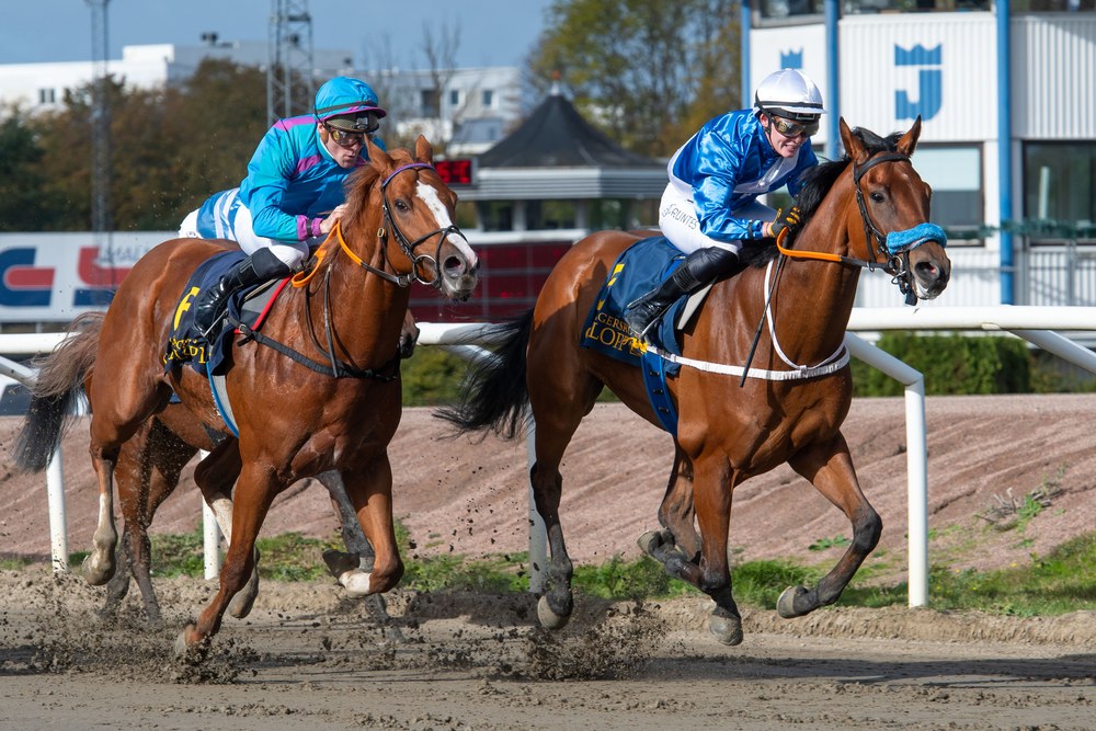 Sir Brian og Alina Öhgren vinder 3-årshandicappet på Jägersro