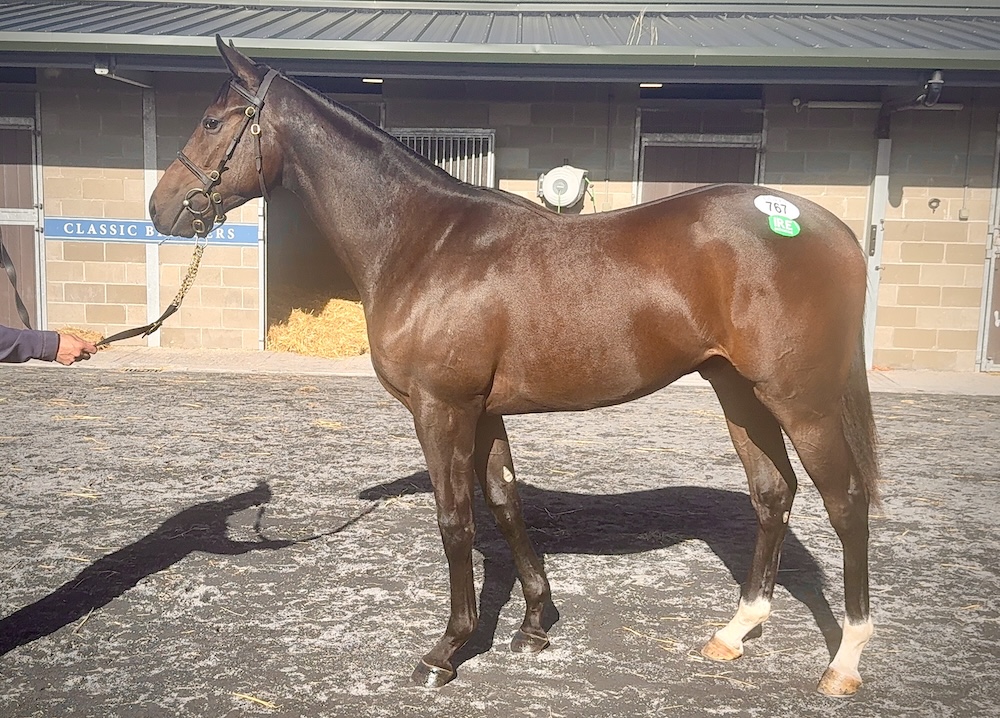 Lot 767, Minzaal – Sun Lily