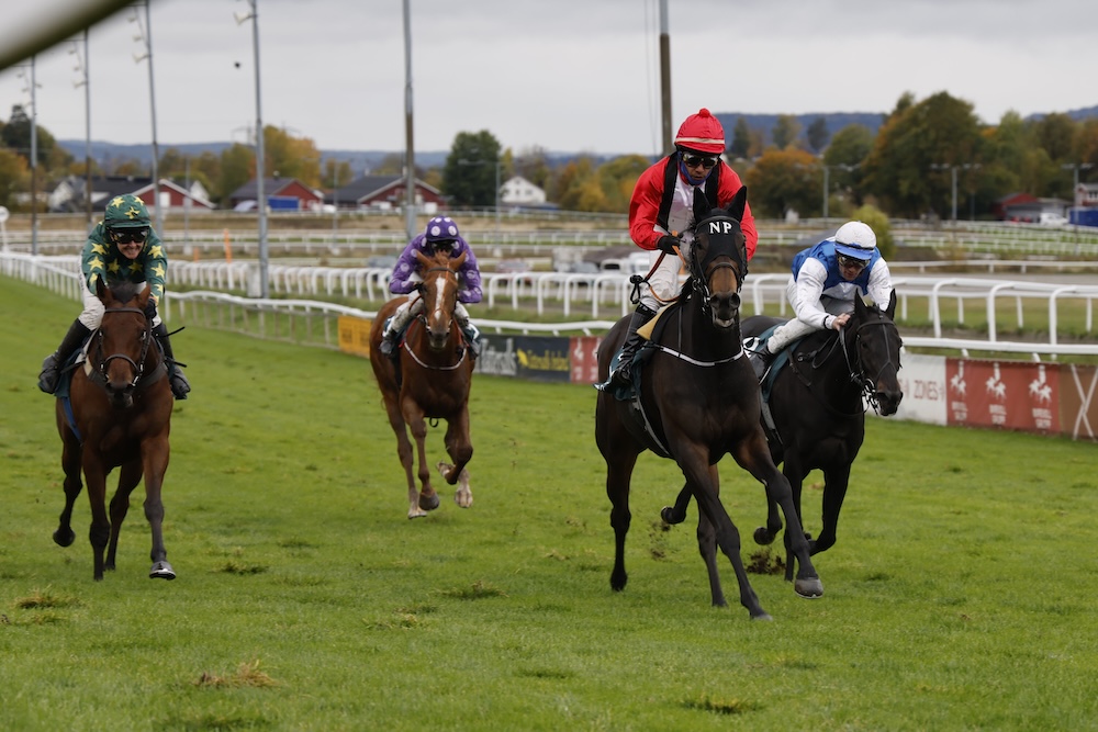 Lady Irene med Carlos Lopez i rød dragt lige efter målstregen i Norsk Oaks på Øvrevolls græsbane, med tre konkurrenter bag sig.