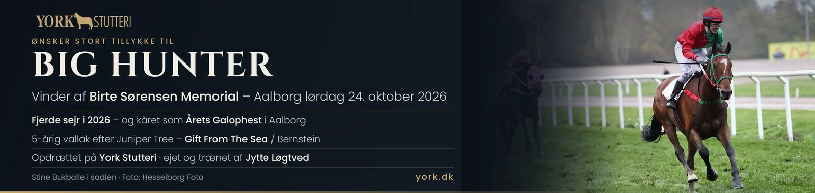 York Stutteri ønsker tillykke til Big Hunter, vinder af Birte Sørensen Memorial i Aalborg