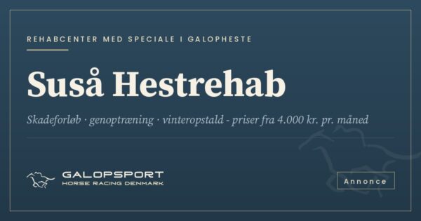 Annonce: Suså Hestrehab – med speciale i galopheste