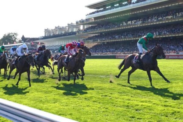 Daryz og Mickael Barzalona vinder Prix de l’Arc de Triomphe 2026 på ParisLongchamp