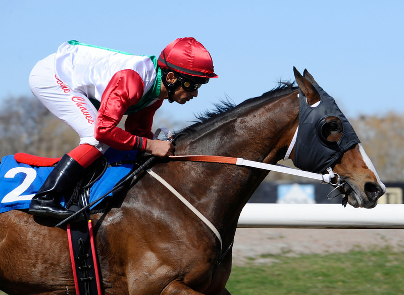 Alcohuaz/Elione Chaves. Foto: Stefan Olsson / Svensk Galopp.