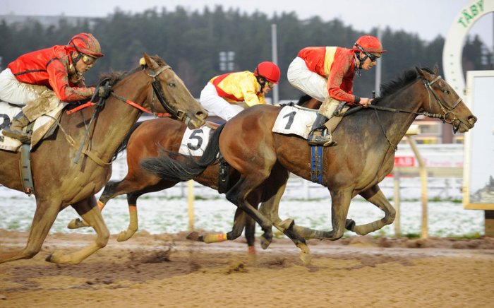 Azincourt/Jacob Johansen. Foto: Svensk Galopp.