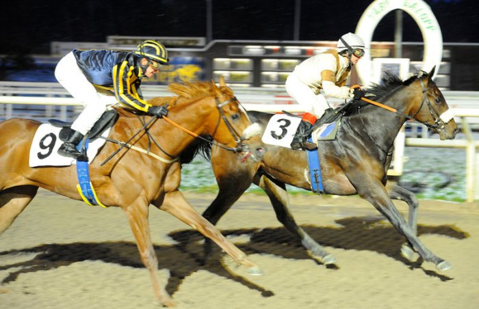 Dandy's Hero/Rebecca Colldin besejrer Puyol/Dina Danekilde. Foto: Svensk Galopp.