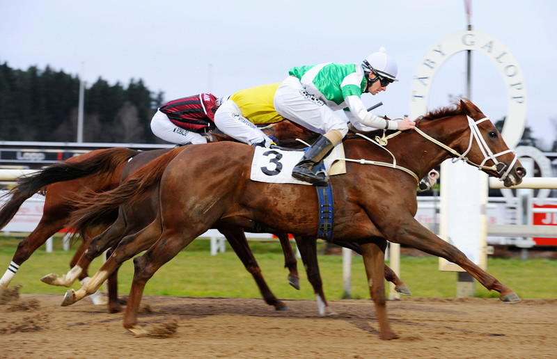 Ede Sensation/Jacob Johansen vinder Ulriksdals Minneslöpning. Foto: Stefan Olsson / Svensk Galopp.