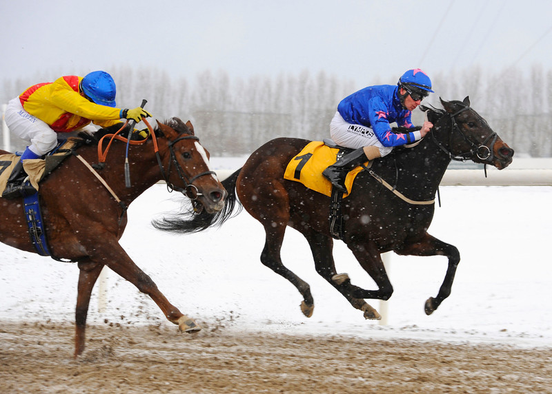 Florence Craye/Jacob Johansen slår Deloria/Martin Rodriguez. Foto: Stefan Olsson / Svensk Galopp.