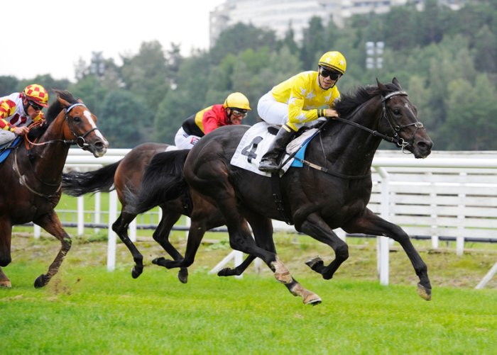 Giant Sandman ved forrige års sejr i Täby Open Sprint Championship (L). Foto: Stefan Olsson / Svensk Galopp.